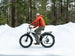 D3 ST(Cruiser ST) / All Terrain Electric Bike