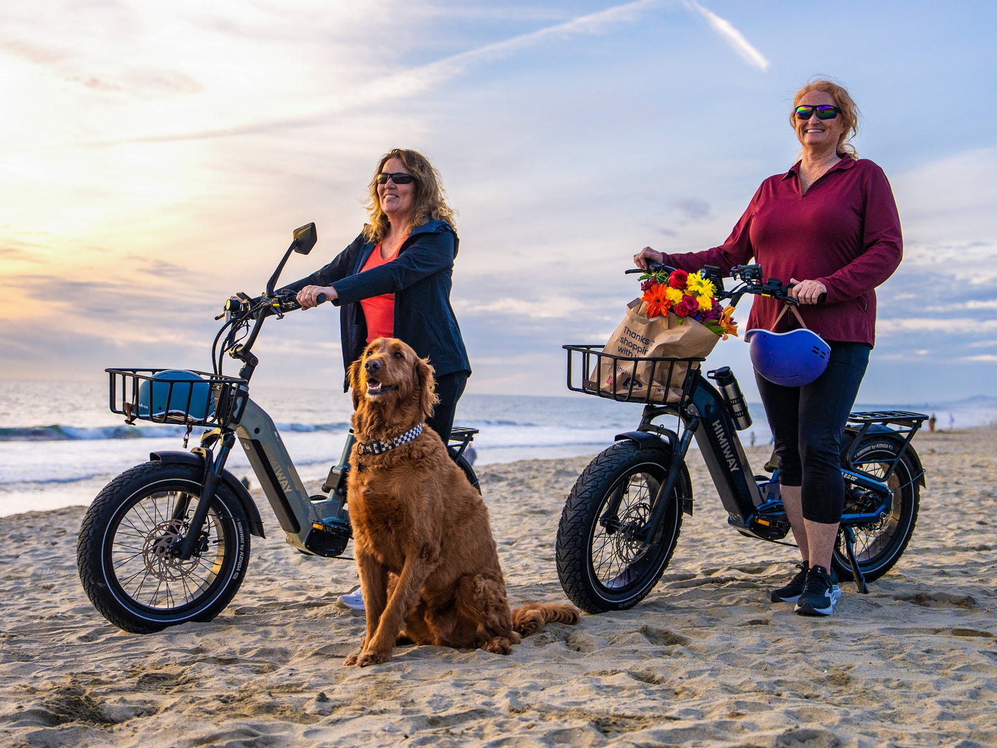 Himiway D5 2.0 20" eBike