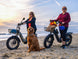 Himiway D5 2.0 20" eBike