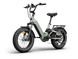 Himiway D5 2.0 20" eBike