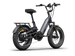 Himiway D5 2.0 20" eBike