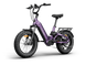 Himiway D5 2.0 20" eBike