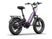 Himiway D5 2.0 20" eBike