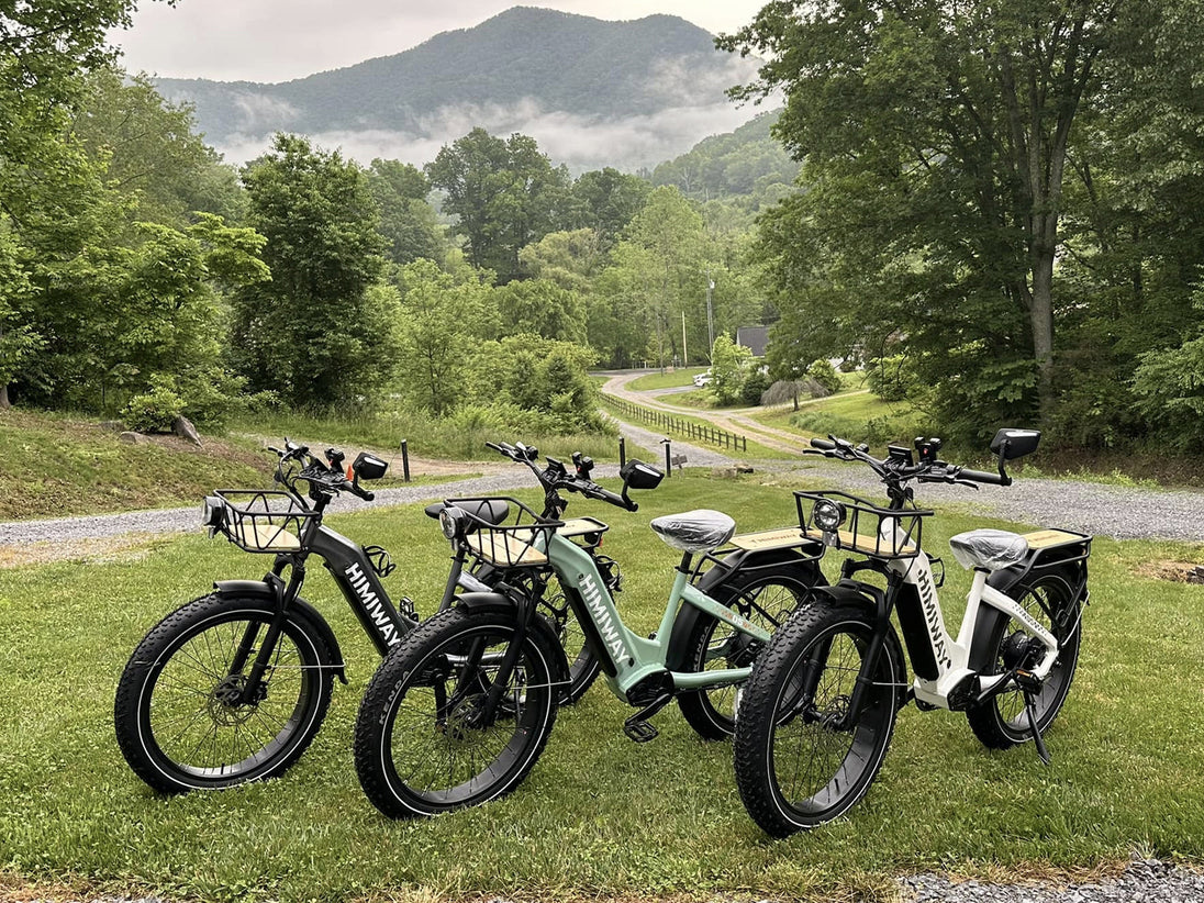 D5 ST(Zebra ST) / All-terrain Electric Fat Bike