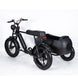 Sidecar For Electric Bike