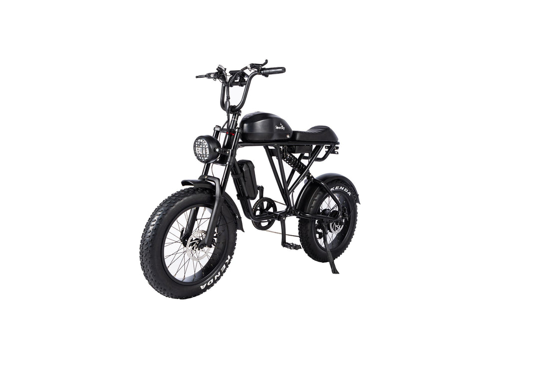Electric Fat Tire Bike Shimano 7-Speed Titan 500