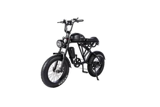Electric Fat Tire Bike Shimano 7-Speed Titan 500