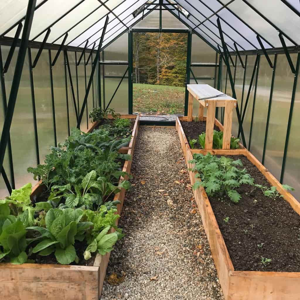 Grandio Element 6x12 Greenhouse