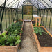 Grandio Element 6x12 Greenhouse