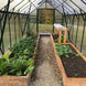 Grandio Element 6x12 Greenhouse