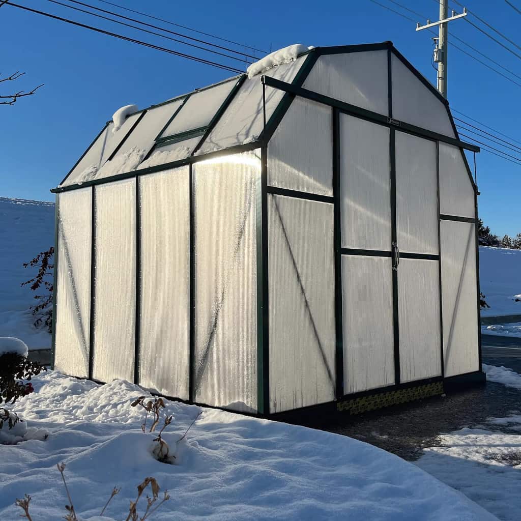 Grandio Elite 8x8 Greenhouse
