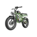 Green electric bike with 'Freewave' branding on a gray background