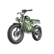 Green electric bike with 'Freewave' branding on a gray background