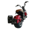 Extra Lithium Battery - SoverSky Scooter Back-Up Removable Battery