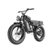 Freego Shotgun Lite F0 fat-tire eBike designed for comfort and stability, transparent background