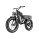 Freego Shotgun Lite F0 fat-tire eBike designed for comfort and stability, transparent background