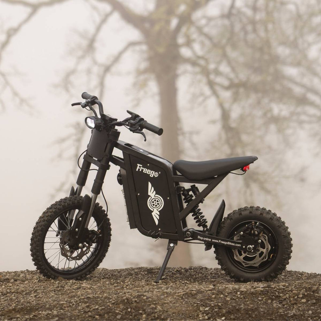 A Freego X0 electric dirt bike parked on a gravel path during a foggy morning, showcasing its rugged frame.