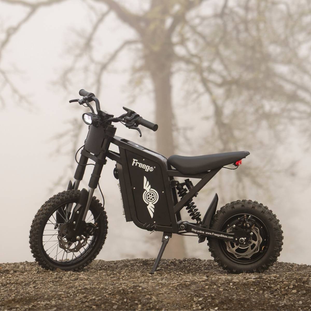 A Freego X0 electric dirt bike parked on a gravel path during a foggy morning, showcasing its rugged frame.
