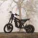 A Freego X0 electric dirt bike parked on a gravel path during a foggy morning, showcasing its rugged frame.