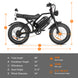HappyRun G70 2000W Dual Battery Fast Electric Cargo Bike for Sale