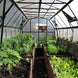 Grandio Elite 8x16 Greenhouse