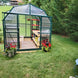 Grandio Elite 8x8 Greenhouse