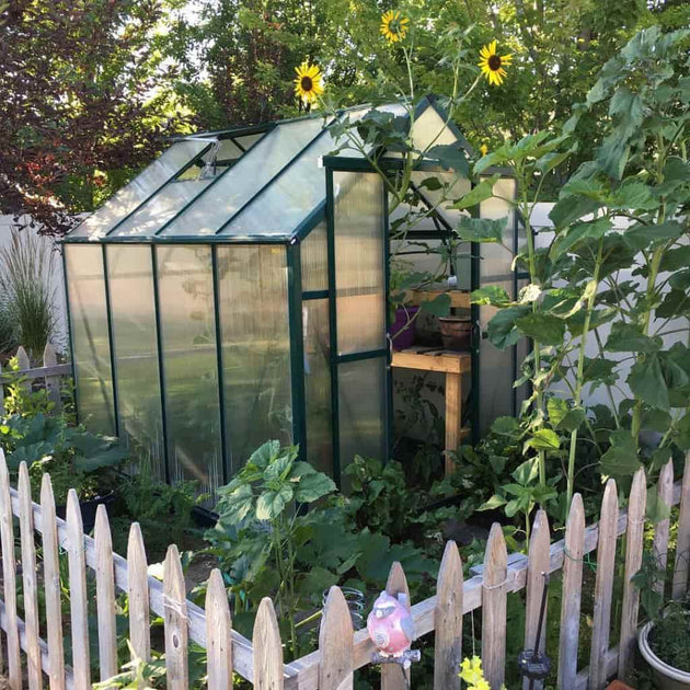 Grandio Element 6x12 Greenhouse