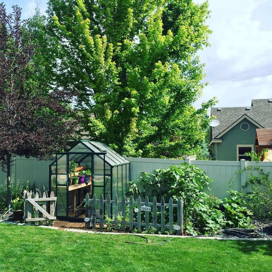 Grandio Element 6x12 Greenhouse
