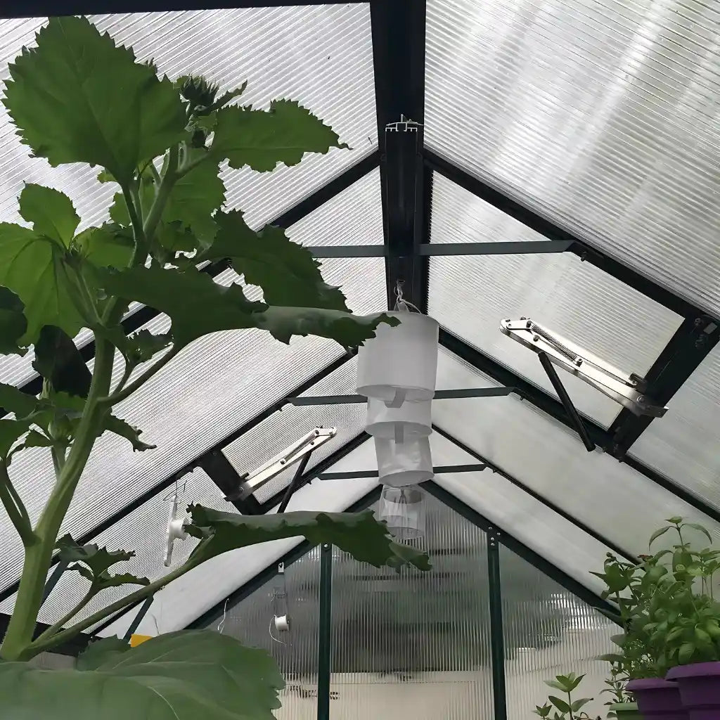 Grandio Element 6x12 Greenhouse