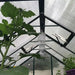 Grandio Element 6x12 Greenhouse