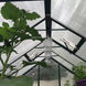 Grandio Element 6x12 Greenhouse