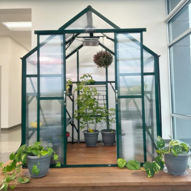 Grandio | Element 6x4 Greenhouse