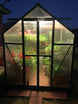 Grandio Element 6x4 Greenhouse