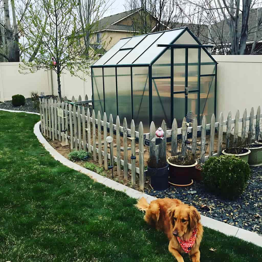 Grandio Element 6x8 Greenhouse