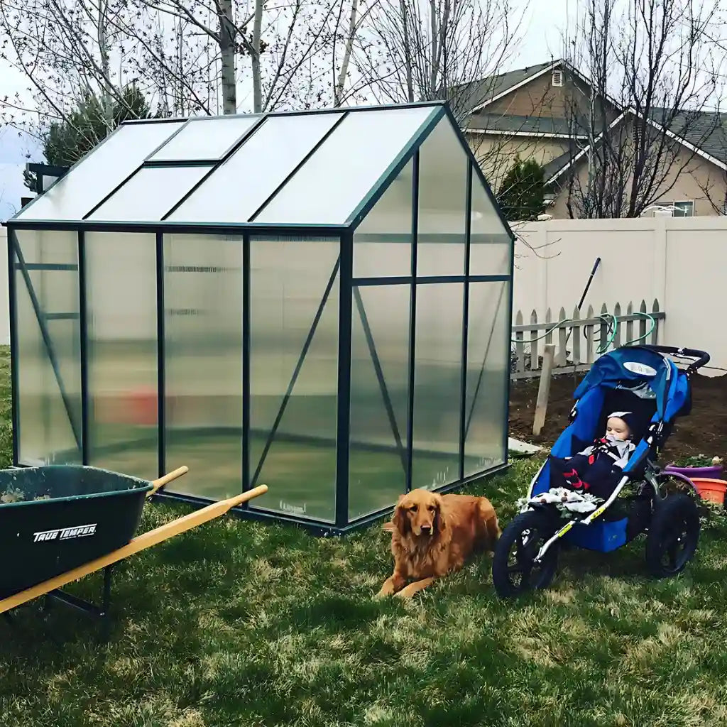 Grandio Element 6x8 Greenhouse
