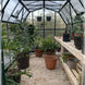 Grandio Elite 8x12 Greenhouse