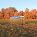 Grandio Elite 8x20 Greenhouse