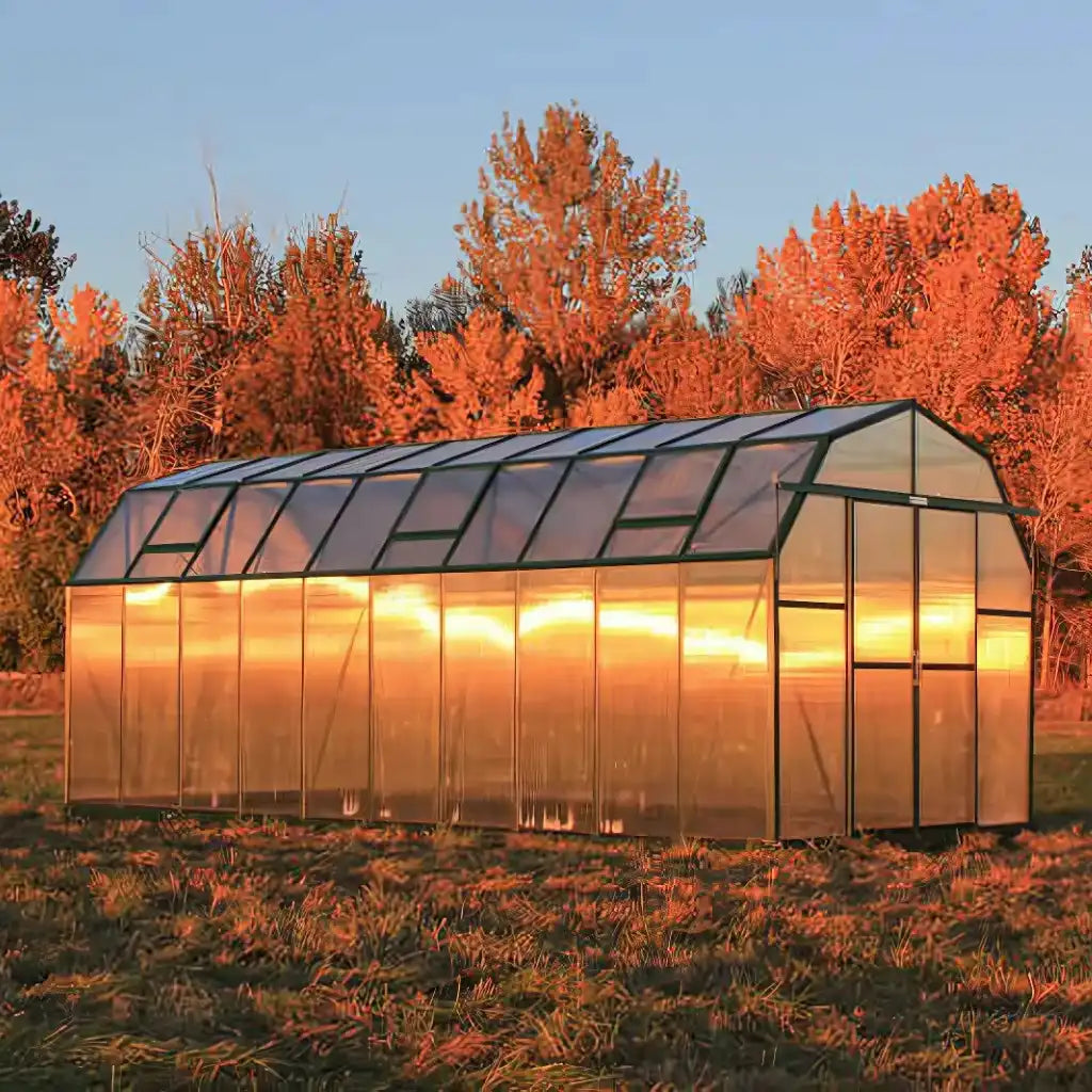 Grandio Elite 8x20 Greenhouse