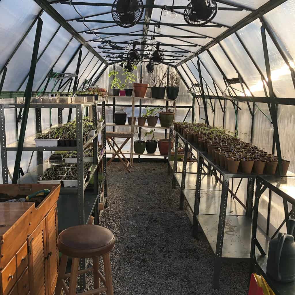 Grandio Elite 8x24 Greenhouse