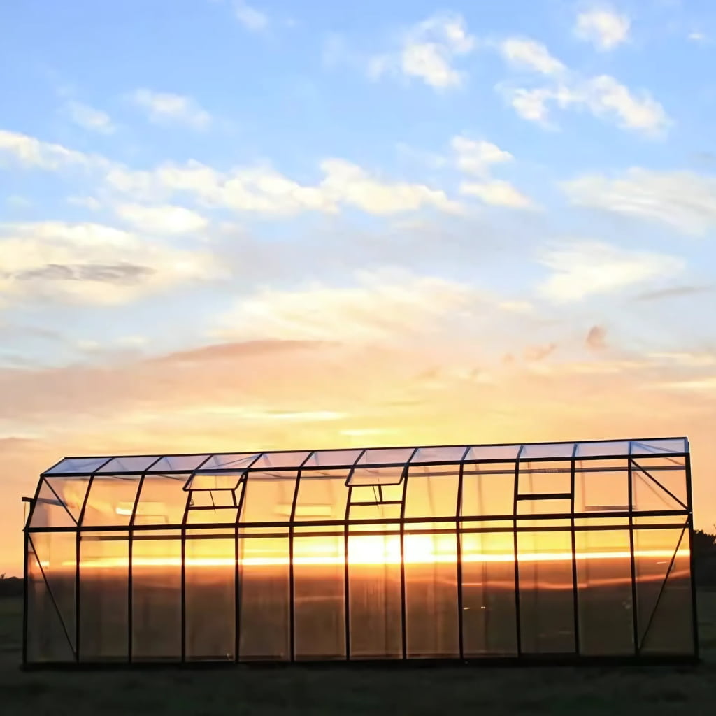 Grandio Elite 8x24 Greenhouse