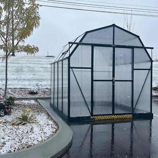 Grandio Elite 8x8 Greenhouse