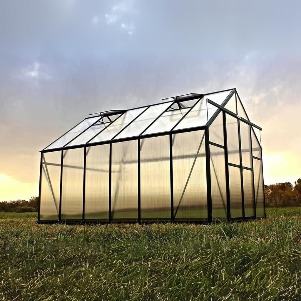 Grandio | Ascent 8x12 Greenhouse