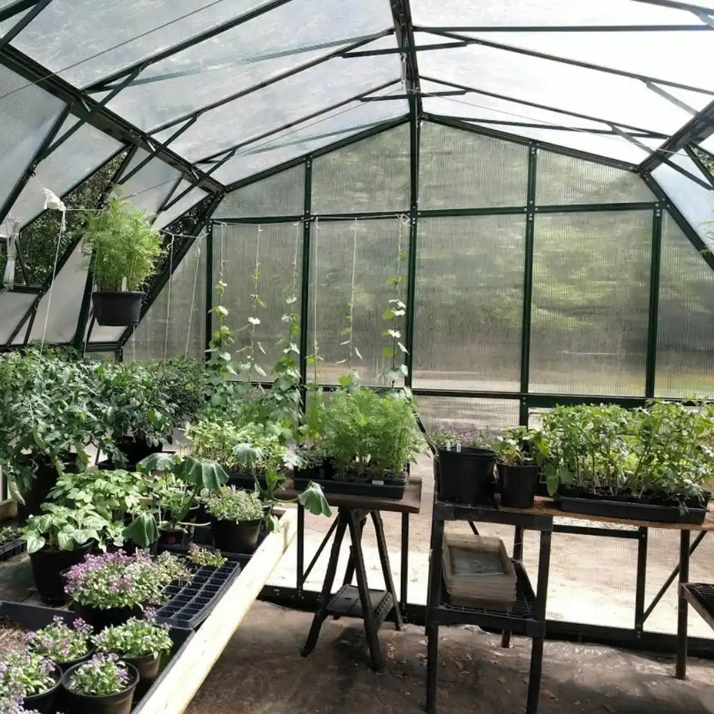 Grandio Summit 12x28 Greenhouse