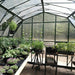 Grandio Summit 12x28 Greenhouse