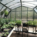 Grandio Summit 12x28 Greenhouse