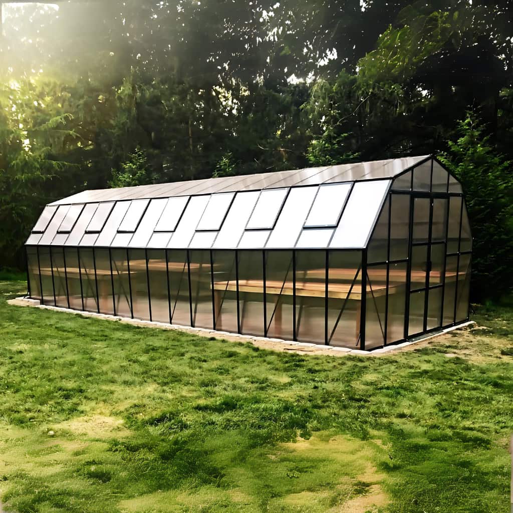 Grandio Summit 12x32 Greenhouse
