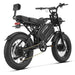 HappyRun G70 Pro Dual-Motor Dual-Battery Electric Cargo Bike