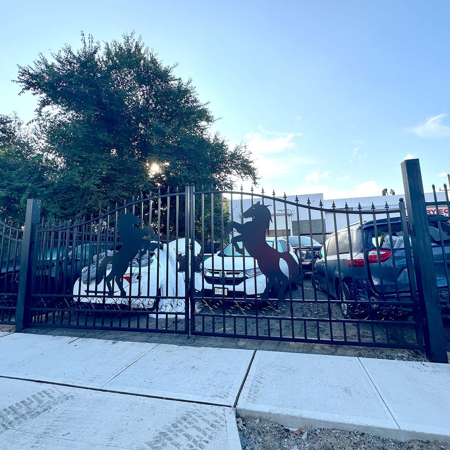Chery Industrial 14x8 ft Steel Dual Swing Driveway Gate with Horse Pattern