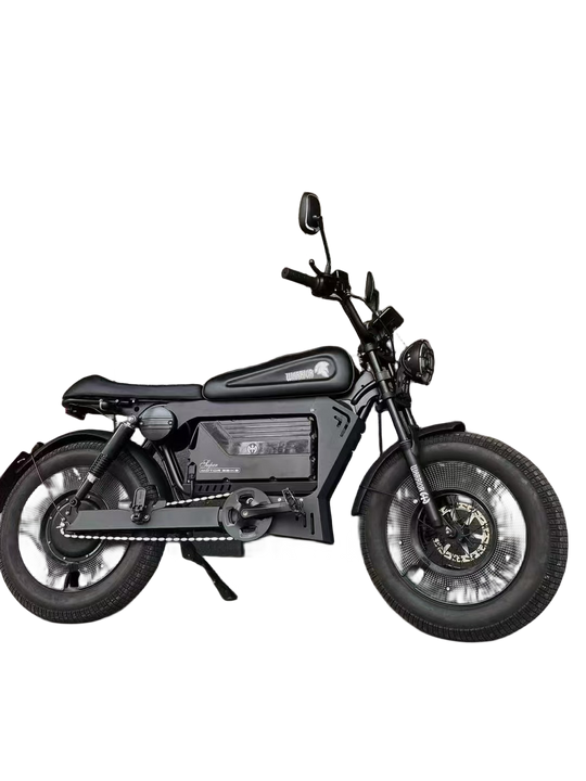 SoverSky Knight /Black Warrior Electric Fat Tire Bike