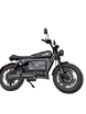 SoverSky Knight /Black Warrior Electric Fat Tire Bike